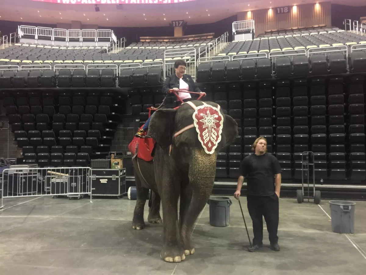 Animal rights group PETA calls out Pittsburgh City Councilor Harris for elephant ride