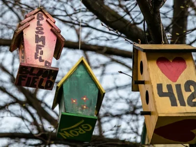 Picturing Bloomfield