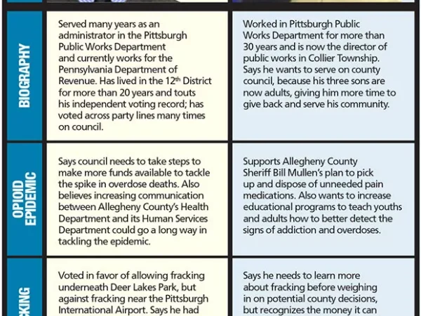 Allegheny County Council District 12