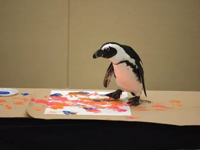 Animal Encounters at the National Aviary