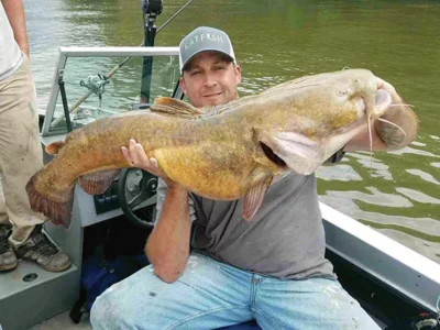 Flathead catfish are an impressive predator in Pittsburgh’s rivers