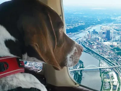 Pittsburgh aviation team rescues animals along the East Coast