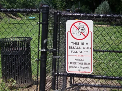 Yappy hour at Pittsburgh’s dog parks