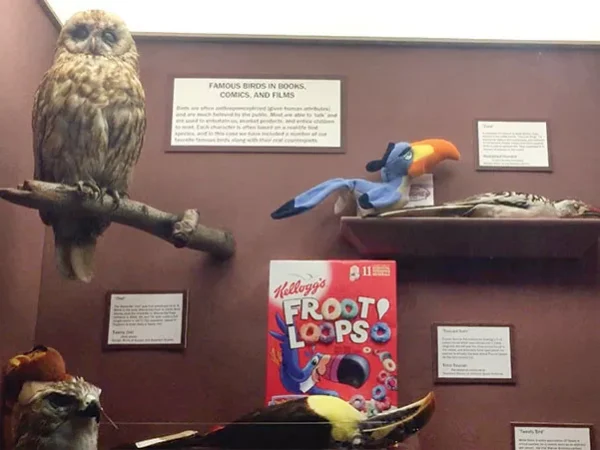 Inside the Hall of Birds at the Carnegie Museum of Natural History
