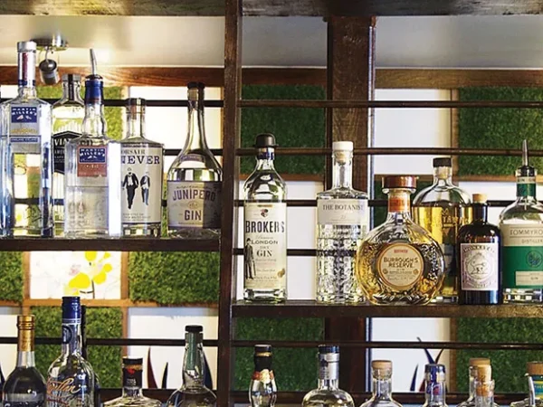 Needle & Pin brings dozens of gins to Dormont