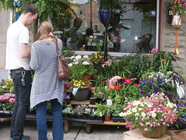 Bloomfield + Vicinity