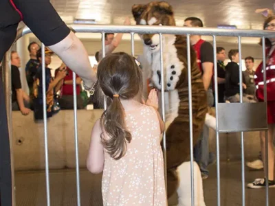 Furries return to Pittsburgh for Anthrocon 2017