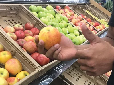 Become self-sufficient by learning how to do these things ASAP