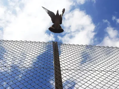 A new program in Pennsylvania could be key to keeping non-violent drug offenders from re-offending