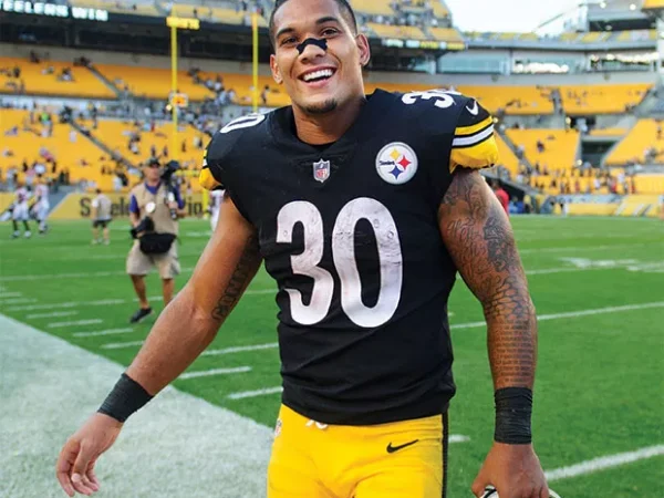 Steelers Preview 2017