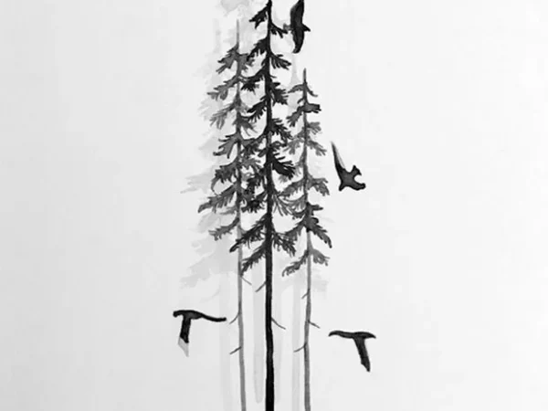 New Local Releases: Zeve