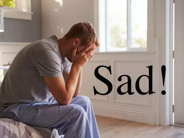 What happens when you use Trumpisms as search terms for stock art?