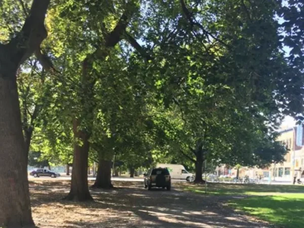 Pittsburgh City Councilor Darlene Harris caught driving car on pedestrian path in park, upsetting constituents