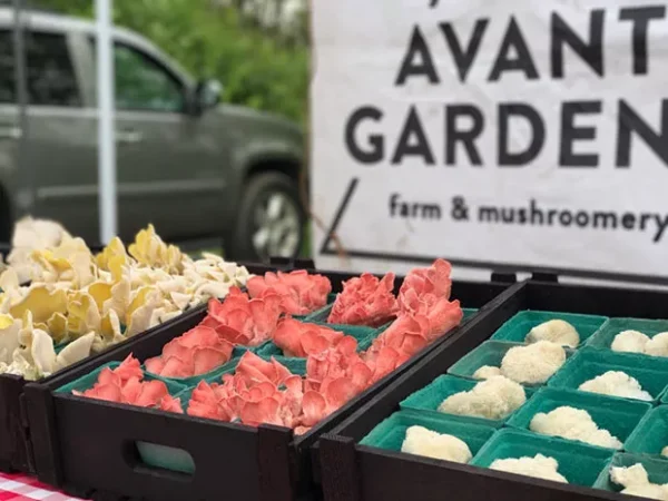 Avant Gardens Farm & Mushroomery