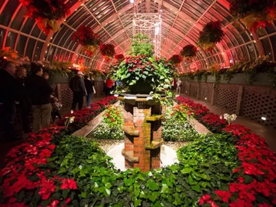 Holiday Magic! brings lights and festive flora to Oakland