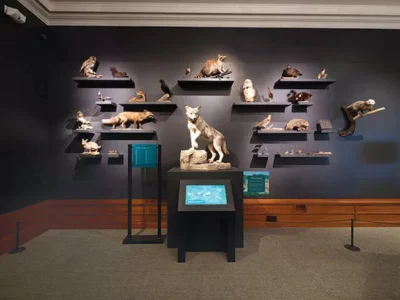 We Are Nature: Living in the Anthropocene at the Carnegie Museum of Natural History