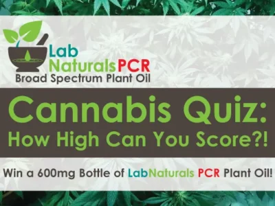 Cannabis Quiz: How High Can You Score?