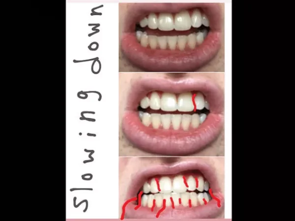 New Local Release: Philippa Zang’s 
slowing! down!