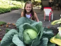Mount Lebanon third-grader wins a national growing competition with a 14-pound cabbage