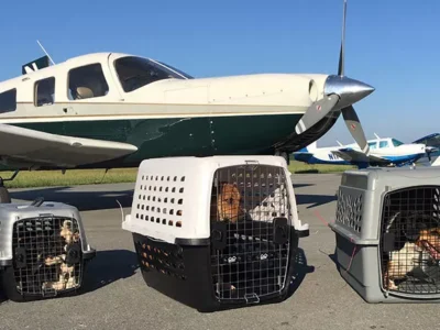 Local animal-rescue aviation company is getting a new plane courtesy of the Rachael Ray Foundation