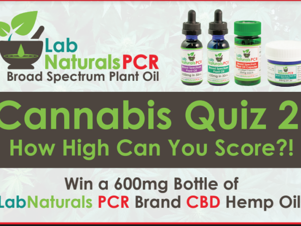 Cannabis Quiz 2 – The Sequel