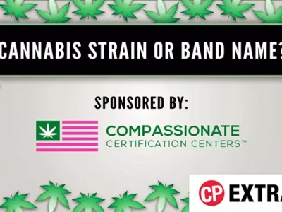 Cannabis Strain or Band Name?