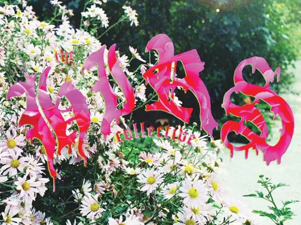 HIRS Collective refuses to stop existing