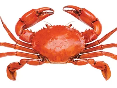 Top 5 Places to Take Dad for Father’s Day