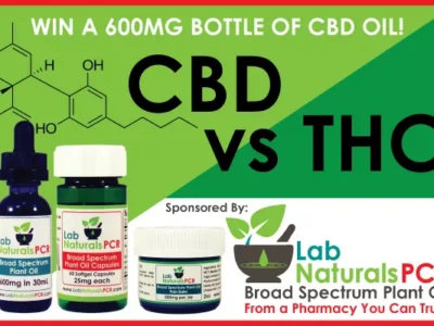 CBD vs. THC: Are you an expert?