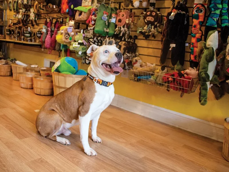 Best of Pittsburgh — Spotlight: Petagogy