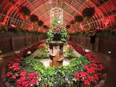 Winter activities for getting into the holiday spirit