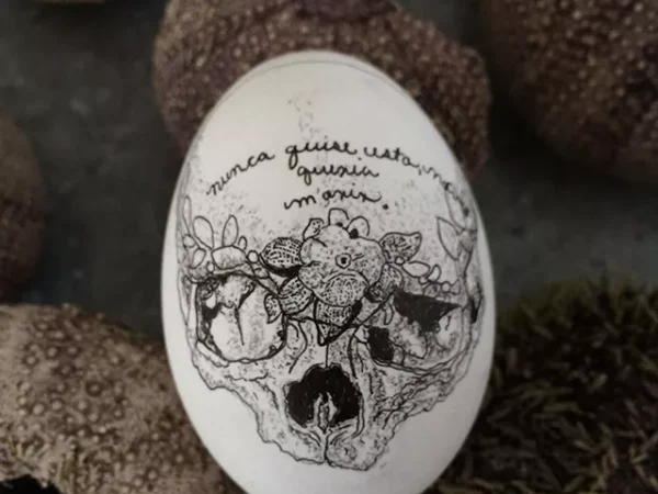 Pittsburgh artist Ana Armengod talks film, music, and eggs