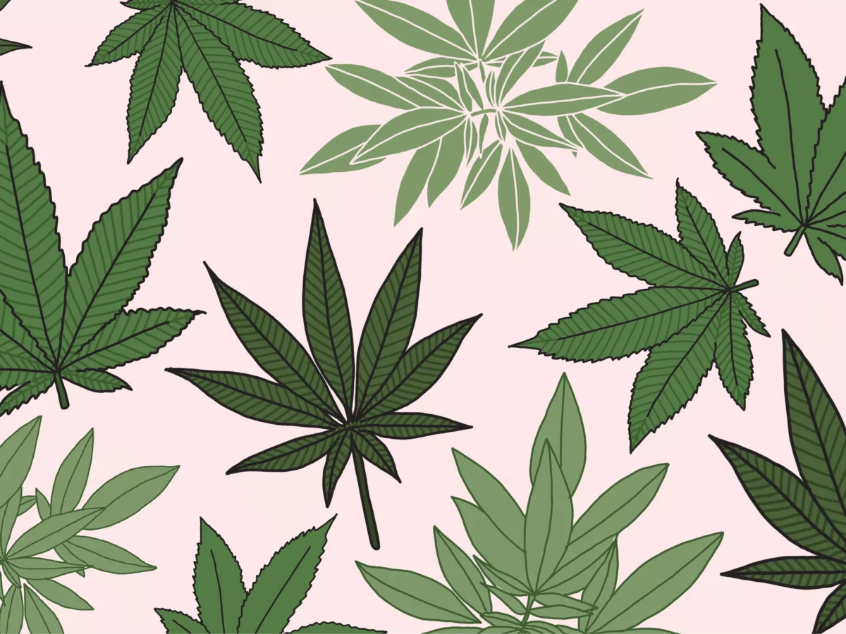 Expansion of conditions to qualify for medical marijuana in Pennsylvania could be far off