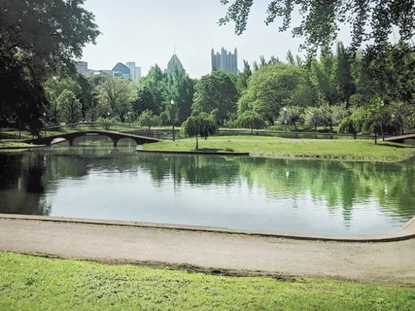 North Side vs. Everybody