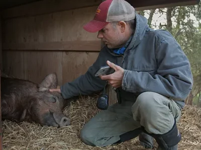 The Biggest Little Farm highlights and hides the difficulties of running a farm