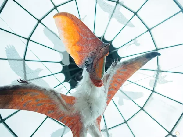New National Aviary exhibit lets you fly like a pterosaur