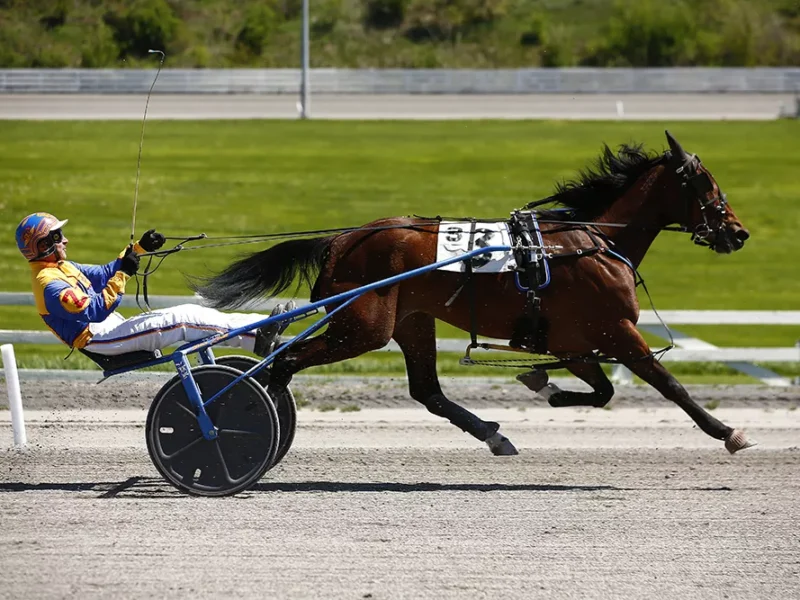 A day at the track: a photo essay from two Western Pennsylvania horse racing venues