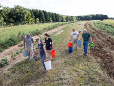 Chatham University launches Food Bank Farm to grow fresh crops for communities in need