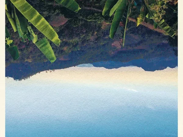 Bummer-pop group Soft Gondola releases its first album, which also happens to be its last