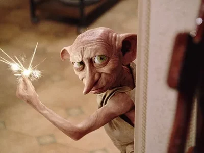 Summer Guide Activities: July 29 – Aug. 4