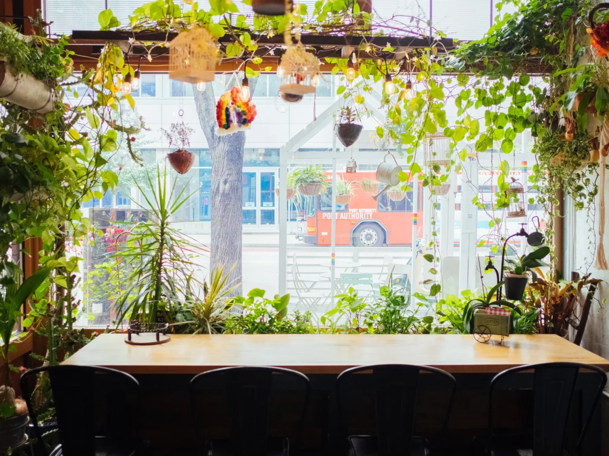 Best Korean Food: Bae Bae’s Kitchen