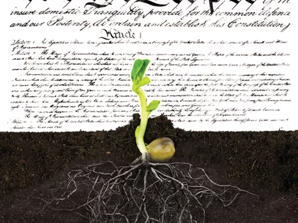 The myth of ‘We The People’