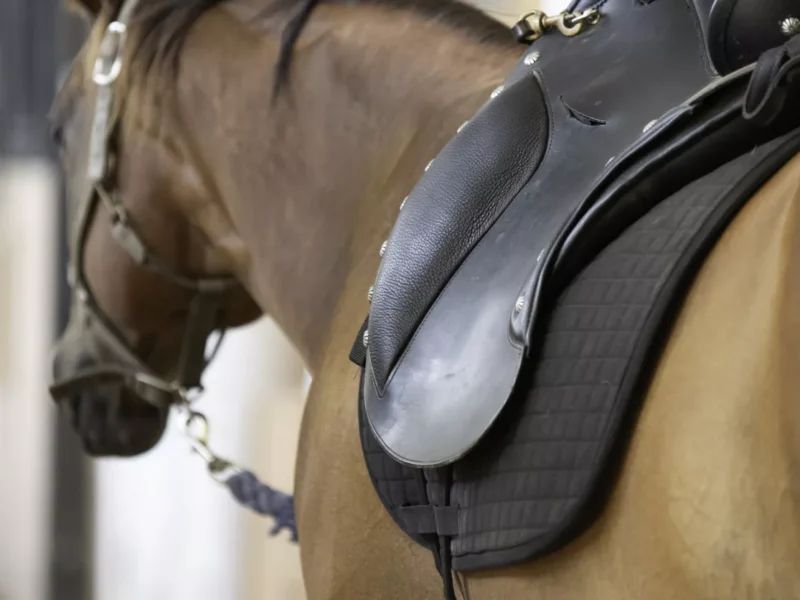 The Pennsylvania State Police want you to give them your horse