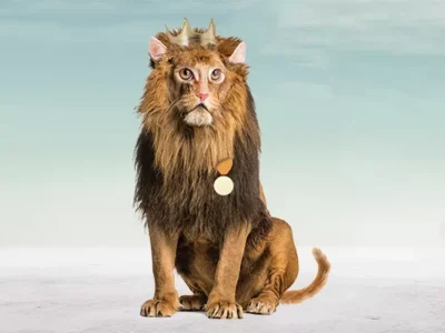 Best of Pittsburgh Goods and Services