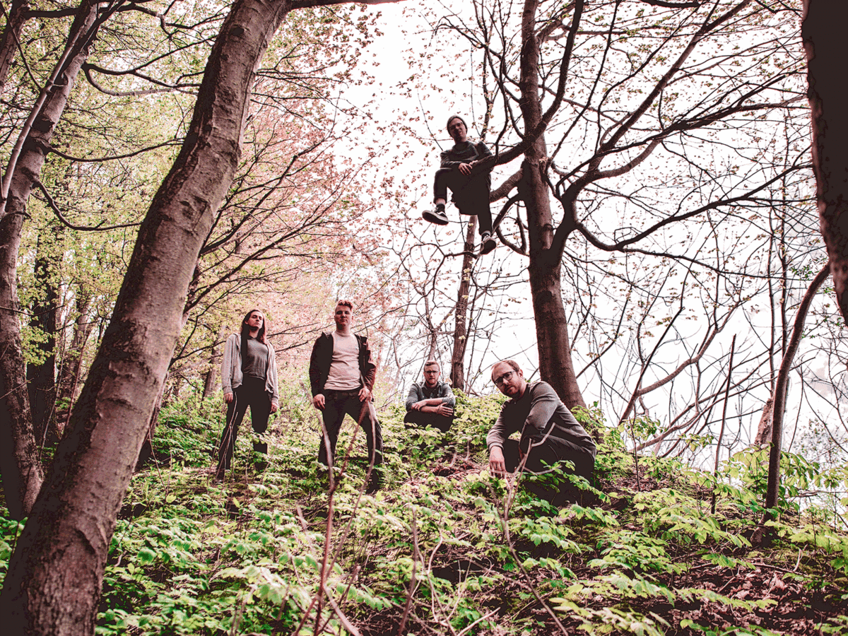 New Music Friday: Releases from Frame and Mantle, Swiss Army, and more