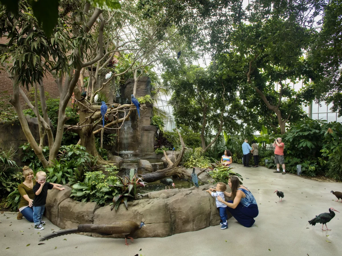 National Aviary honored with exhibit design award for its Tropical Rainforest