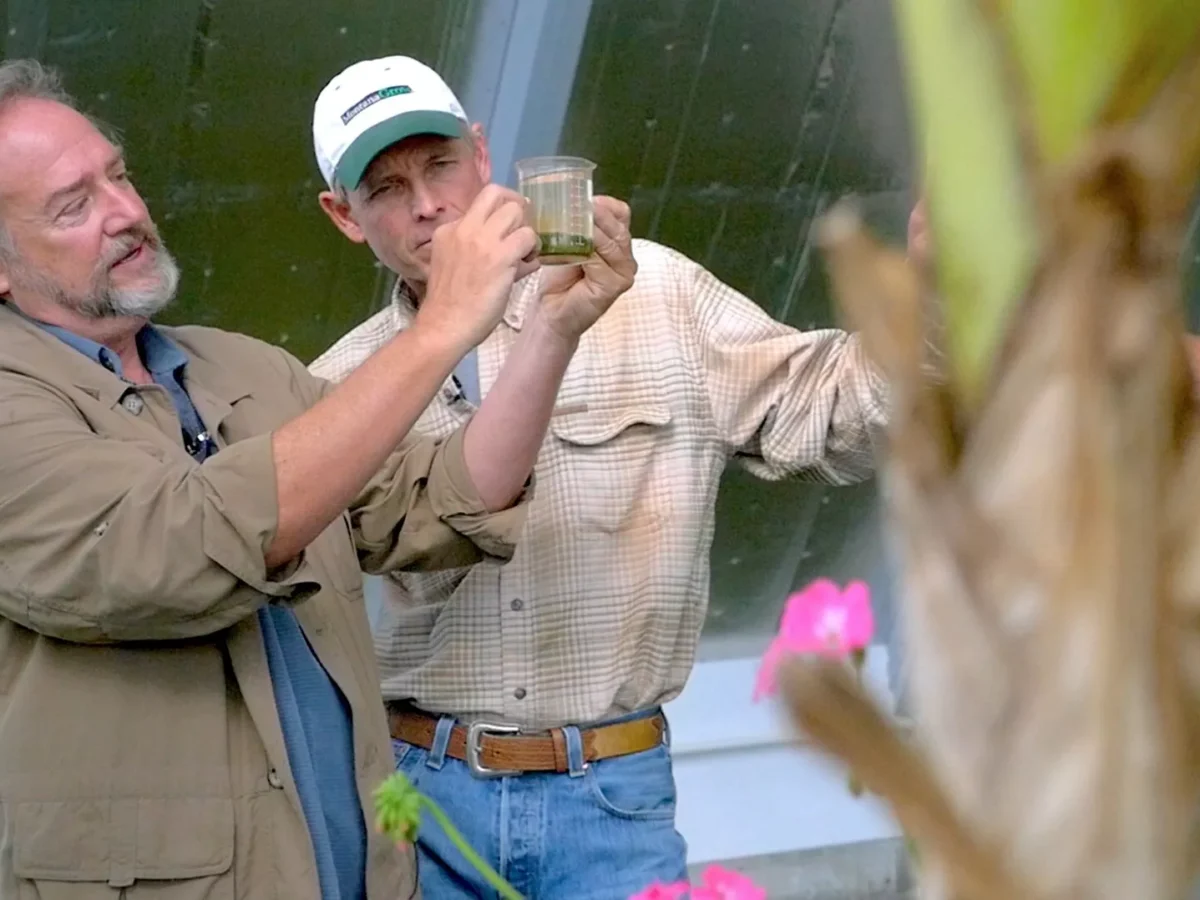 Watch award-winning environmental doc The Need To Grow for free before the opportunity expires