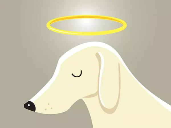 Pittsburgh artists create line of pet sympathy cards for other animal lovers