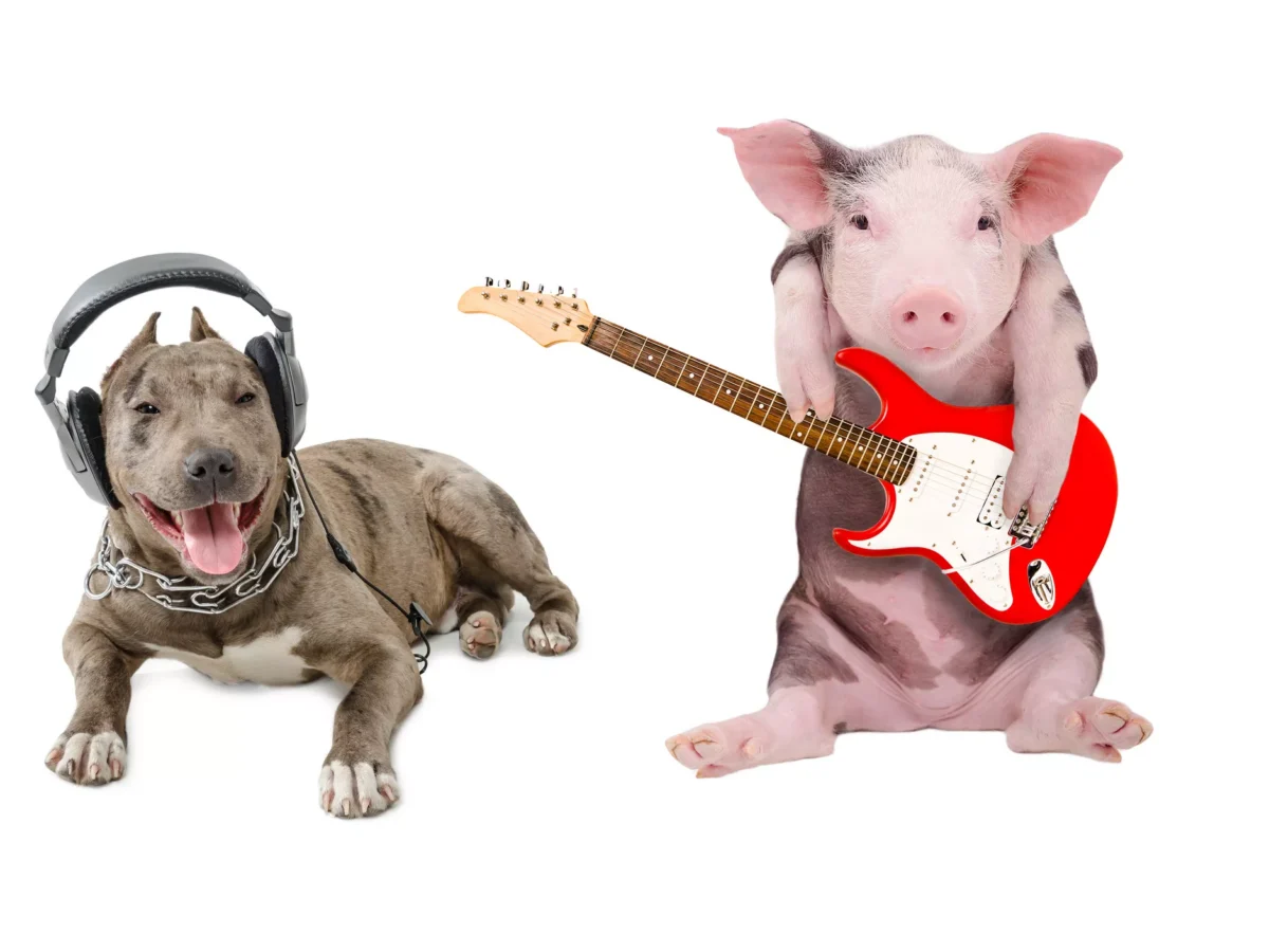 Listen to this animal playlist while you read CP‘s Animal Issue