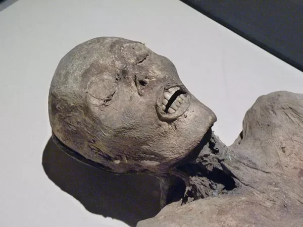 The mummies speak for themselves at Carnegie Science Center’s new exhibit